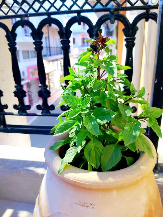 Sitia City Center Luxury Apartment Ngoại thất bức ảnh